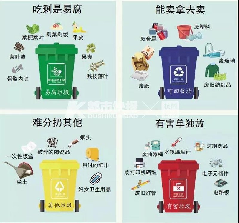 废品行业的绿色革命:志功的故事